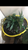 C3D5A0D6-97FD-4F85-9332-34FE3C3116F6.png