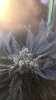 C045B6DC-0501-4CF9-AE38-60055E13982A.jpeg