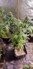 20190529_065724.jpg