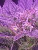 20190602_082916.jpg