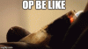 2fl71x.gif