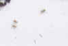Screen Shot 2019-06-05 at 8.08.24 PM.png