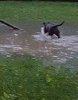 20190610_134657.jpg
