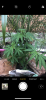 CC4340DF-5E17-4D2C-B318-BD5E50104098.png
