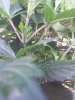 20190621_144458.jpg 20190621_144458.jpg