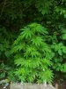 20190619_132611.jpg