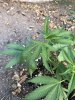 IMG_2180.jpeg