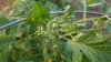 20190620_195443.jpg 20190620_195443.jpg