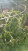 20190620_195616.jpg 20190620_195616.jpg