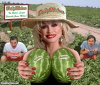 Dolly-Parton-s-Melon-Farm--81358.jpg