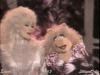 tumblr_mklkxguask1rdi7wyo1_400.gif