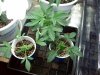 100_0141.jpg