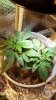 20190703_084830.jpg