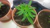 IMG-20190630-WA0000.jpeg