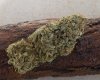 OGEE KUSH - Copy.JPG