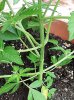 20190717_145849.jpg 20190717_145849.jpg