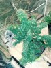 20190718_070101_Film3.jpg