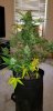 FB Zkittles 3.jpe FB Zkittles 3.jpe