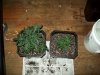 100_0160.jpg