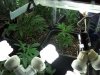 100_0162.jpg
