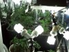 100_0163.jpg