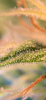 F2B589AF-40F5-46CC-833D-5E379DCE6BCB.png