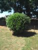 IMG_20190726_112749.jpg