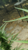Screenshot_Camera_20190801-092711.png