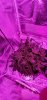 20190803_161713.jpg
