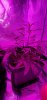 20190803_161706.jpg 20190803_161706.jpg