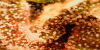 67758804_552142205323285_6815218598798163968_n.png