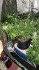 20190810_222134.jpg 20190810_222134.jpg