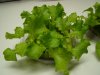 DSC05567.jpg