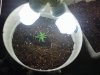 0505092123.jpg