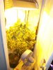 100_0723.jpg