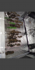 Screenshot_20190521-013428.png