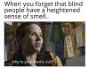 FB_IMG_1565217889736.jpg