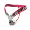 Y-Style-stainless-steel-red-female-chastity-belt-device-with-anal-beads-plug-sex-toys-bdsm.jpg