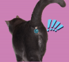 B780869A-6B8D-49F1-9C43-764E5968D152.png