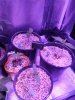 CCamPic_000248.jpg