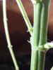 20190821_181428.jpg