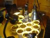 DSC00418.jpg