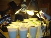 DSC00419.jpg