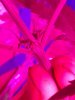 20190908_173144.jpg