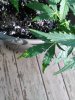 IMG_20190910_101840.jpg