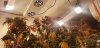 20190912_044705.jpg