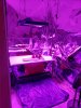 indoor.jpg indoor.jpg