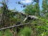 DSCF3631.JPG