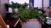 20190916_085847.jpg