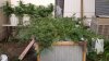 20190919_064733.jpg